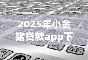 2025年小金猪贷款app下载苹果：分享五个2025年借贷新口子