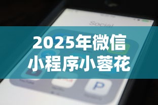2025年微信小程序小蓉花借钱，公布5个2025不查征信大数据百分百下款的平台