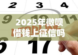 2025年微呗借钱上征信吗：公布5个贷款平台贷款