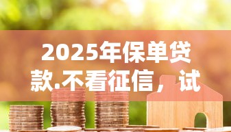 2025年国美可以借钱吗：整理5个不看年龄征信负债的口子