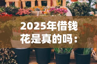 2025年花呗借钱怎么借款到微信,整理5个网上借钱的平台 2025年花呗借钱怎么借款到微信,整理5个网上借钱的平台