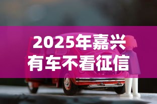 2025年嘉兴有车不看征信的贷款，试试这五个网贷平台可以贷款