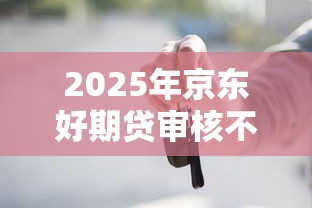 2025年京东好期贷审核不通过：梳理5个有车贷款平台