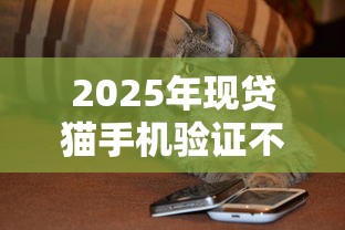 2025年现贷猫手机验证不过去？罗列5个夜里借款平台好下款
