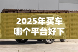 2025年买车哪个平台好下款快：试试这5个平台贷款