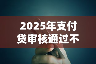 2025年支付贷审核通过不下款：试试这五个有信用卡就可以贷款的平台