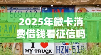 2025年微卡消费借钱看征信吗，公布5个征信花必过的平台