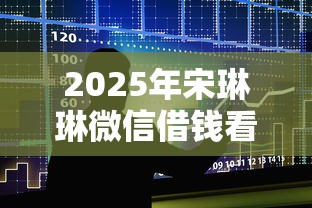 2025年宋琳琳微信借钱看病，整合五个低门槛贷款平台