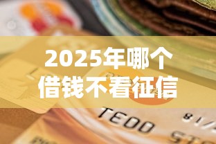2025年哪个借钱不看征信的？梳理五个征信花了可以贷款的平台