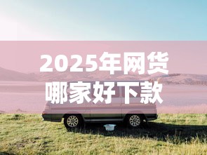 2025年网货哪家好下款快一点，分享5个近期好下款的平台