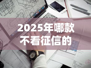 2025年哪款不看征信的贷款：看看这5个大学生借钱平台