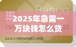 2025年急需一万块钱怎么贷款：推荐5个黑户可快速办理小额贷款业务的软件
