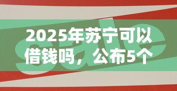 2025年苏宁可以借钱吗，公布5个比较好的网贷平台