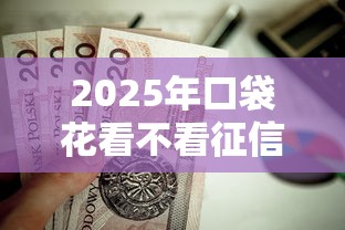 2025年口袋花看不看征信，罗列五个汽车贷款平台