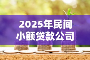 2025年民间小额贷款公司：公布5个贷款平台好贷款