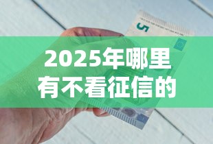 2025年哪里有不看征信的备用金？整理五个比较好借钱的平台
