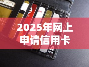 2025年网上申请信用卡直接被拒？看看这5个低门槛贷款平台