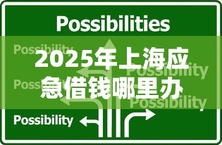 2025年上海应急借钱哪里办理？整理五个十大容易过的网贷平台
