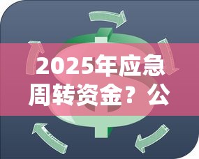 2025年应急周转资金？公布5个马云贷款平台