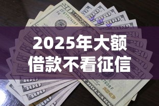 2025年大额借款不看征信的贷款有哪些，推荐五个花了能下款的口子