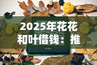 2025年花花和叶借钱：推荐五个深圳网贷平台