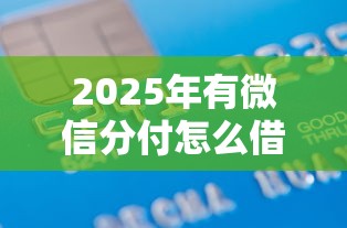 2025年有微信分付怎么借钱到银行卡里：梳理5个贷款两万的平台