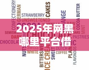 2025年网黑哪里平台借钱靠谱？整理5个不看综合评分的贷款平台