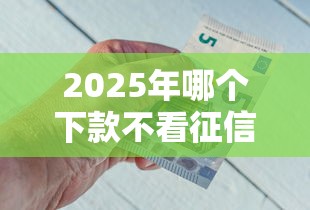 2025年哪个下款不看征信？梳理五个秒下款的贷款平台