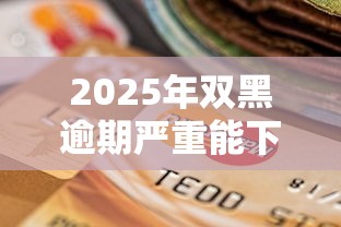 2025年双黑逾期严重能下款的平台？整理5个电商贷款平台