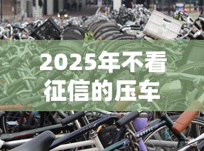 2025年不看征信的压车贷款：整理5个浙江车贷网平台