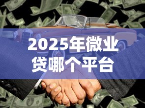 2025年微业贷哪个平台好下款？公布五个大学生可以使用的平台