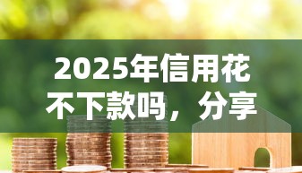 2025年信用花不下款吗，分享5个黑花户下款口子