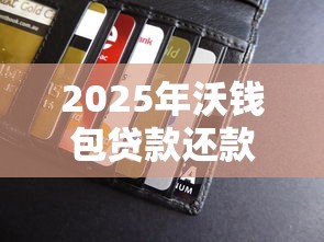 2025年沃钱包贷款还款再借被拒？试试这五个那些平台60—65岁可以借钱
