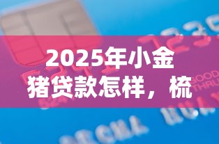 2025年小金猪贷款怎样，梳理5个不查征信大数据的借款平台百分百通过