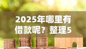 2025年哪里有借款呢？整理5个2025黑花户借款平台