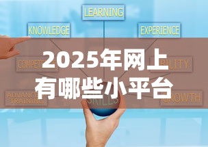 2025年网上有哪些小平台借钱：梳理五个信誉好的网贷平台