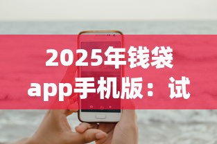 2025年钱袋app手机版：试试这五个不用面签和芝麻分的贷款app
