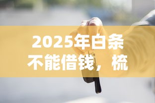 2025年白条不能借钱，梳理五个车贷款平台
