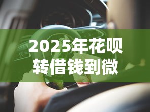2025年花呗转借钱到微信？整理五个国家承认10家网贷平台