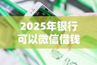2025年银行可以微信借钱吗：分享五个征信花而且其他软件借不出钱了还可以借到钱100%通过的平台