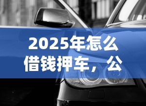 2025年怎么借钱押车,公布5个还有平台可以借钱 2025年怎么借钱押车,公布5个还有平台可以借钱