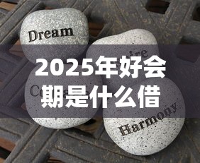 2025年好会期是什么借钱平台，分享5个无需个人征信的借款平台