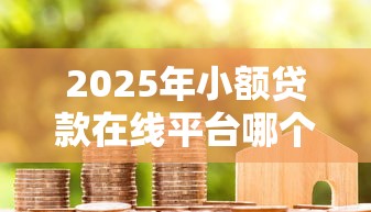 2025年小额贷款在线平台哪个好？公布五个2025花户风控必过的口子论坛