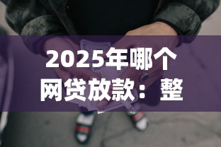2025年哪个网贷放款：整理5个黑户可以做大额贷款app