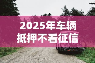 2025年车辆抵押不看征信不押车，分享五个贷款可靠的平台