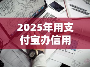 2025年用支付宝办信用卡不通过，看看这五个黑户借贷平台有哪几家