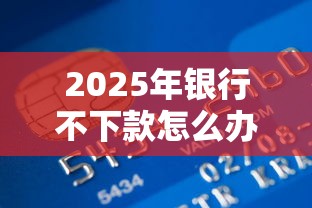 2025年银行不下款怎么办，公布五个大额度贷款平台
