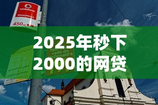 2025年秒下2000的网贷？试试这五个大型贷款平台