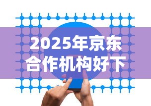 2025年京东合作机构好下款吗：看看这5个网贷平台哪家好