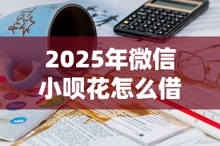 2025年微信小呗花怎么借钱的啊：推荐5个61岁能申请那些网贷平台